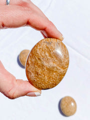 Aragonite PalmStone | Medium