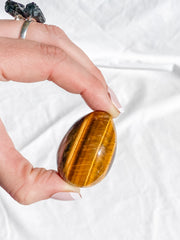 Tiger Eye Egg | Small