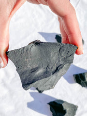 Shungite Natural | X Large