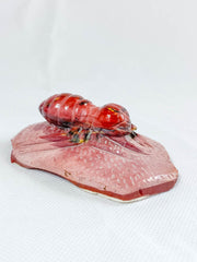 Mookaite Beetle Carving