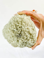 Scolecite with Apophyllite Cluster with Inclusions 852g