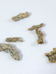 Fulgurite Natural Mineral Specimen | Mini
