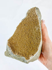 Caramel Amethyst CutBase Cluster 1.2kg