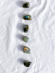 Labradorite Tumbles | Medium