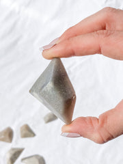 Trolleite Free Form | Medium