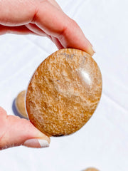 Aragonite PalmStone | Medium