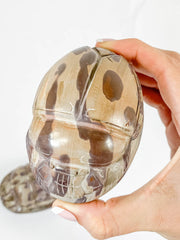 Zebra Stone Scarab Beetle Carving