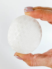Selenite Palm Stone Seed of Life | Medium