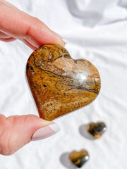 Stromatolite Heart | Medium