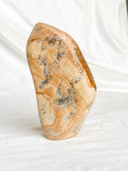 Picture Jasper Polished CutBase 1.4kg