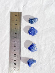 Sodalite Tumbles | Mini
