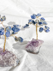 Wire Tree Sodalite on Amethyst Base