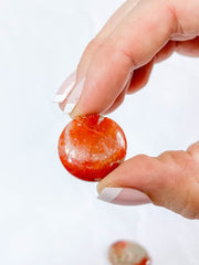 Red Coral | Mini