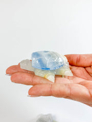 Onyx Blue Turtle Carving