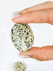 Dalmatian Jasper Worry Stone