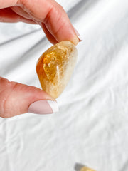 Citrine Baked Tumbles | Medium