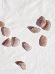 Lavender Tumbles | Mini