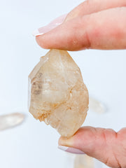 Pink Lemurian Natural | Large