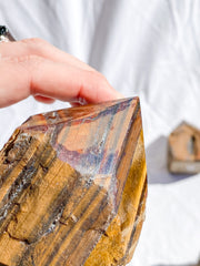Tiger Eye Red and Brown Semi Polished Point | Large