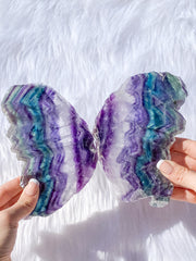 Fluorite Fairy Wings Pair 1.1kg