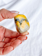 Bumble Bee Jasper Tumbles | Large