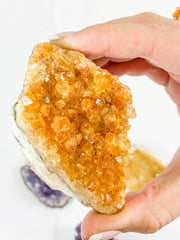 Meditation Divine Pair: Amethyst + Citrine | Large
