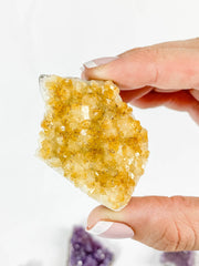 Divine Trio: Citrine + Clear Quartz + Amethyst | Medium