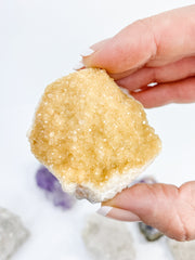 Divine Trio: Citrine + Clear Quartz + Amethyst | X Large