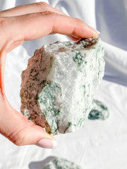 Tree Agate Natural | XX Large