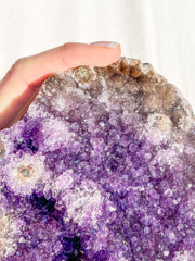 Amethyst CutBase Cluster with Druzy 1.3kg