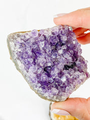 Meditation Divine Pair: Amethyst + Citrine | Large