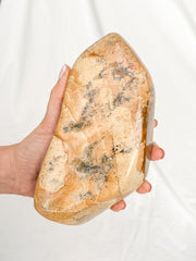 Picture Jasper Polished CutBase 1.4kg