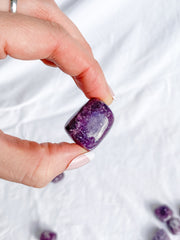 Lepidolite Tumbles | Small