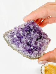 Meditation Divine Pair: Amethyst + Citrine | Large