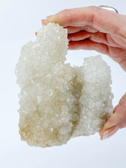 Finger Coral Quartz Cluster 340g
