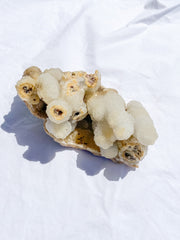 Coral Quartz Cluster with Druzy Cluster 890g