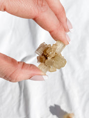 Aragonite Sputnik White | X Small