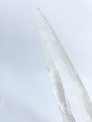 Lemurian Quartz Seed Natural Wand 1.2kg