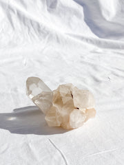 Smoky Himalayan Quartz with Inclusions Cluster 207g
