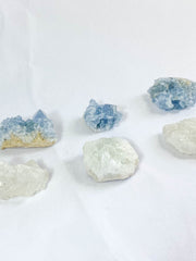 Harmony Duo: Celestite + Glass Apophyllite | Medium