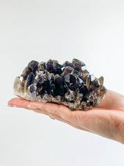 Smoky Quartz Cluster 745g