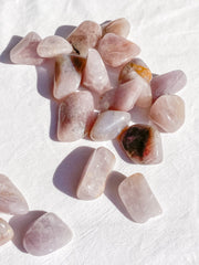 Lavender Tumbles | Small