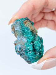 Dioptase Mineral Specimen 48g