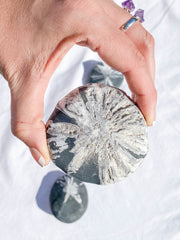 Chrysanthemum Natural Stone | X Large