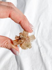 Aragonite Sputnik White | X Small