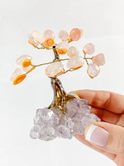 Crystal Bonsai Tree Rose Quartz on Amethyst Base