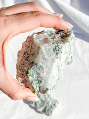 Tree Agate Natural | XX Large