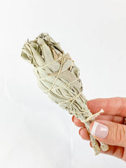 Organic White Sage | Small