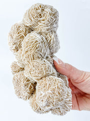 Desert Rose Selenite Cluster Statement Piece 957g