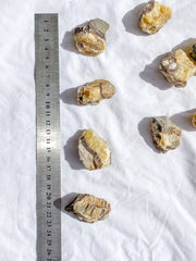 Septarian Natural | Small